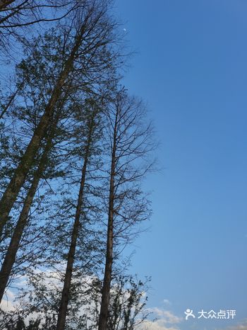 宜兴人的另外一所后花园——五点的天空，让人忍不住多仰