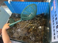 -仙螺岛海鲜自助餐厅(总店)