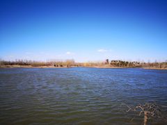 -东郊湿地公园