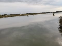 -白渔泡湿地公园