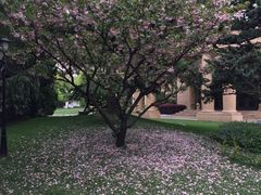 上海兴国丽笙宾馆-上海兴国宾馆丽笙精选