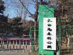 -长白岛森林公园