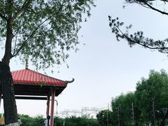 -丁香湖公园