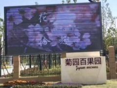 -菊园百果园