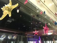 -青岛贝壳博物馆