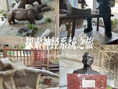 -中国第四纪冰川遗迹陈列馆