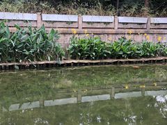 -兰溪青年公园