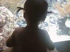 -新加坡海洋生态馆