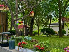 -唐城墙遗址公园