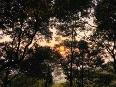 -阳台山森林公园