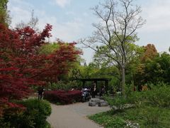 -新江湾城公园