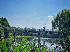 -尚贤河湿地