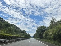 -莫里热带雨林景区