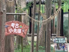 -东明山森林公园