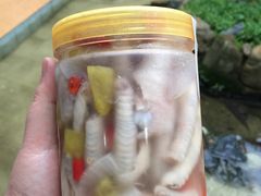 -水库河鲜村