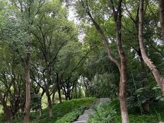 -新洲生态园