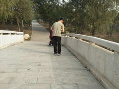-东郊湿地公园