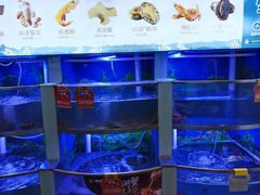 -七欣天香辣蟹火锅(上海银亿滨江店)