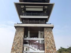 -大湾区中央湿地公园