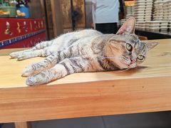 -龙华素斋(龙华路店)