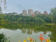 -沐仙湖湿地公园