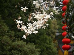-杭州上天竺法喜讲寺
