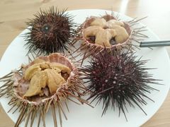 -海胆小馆(东北水饺·春柳店)