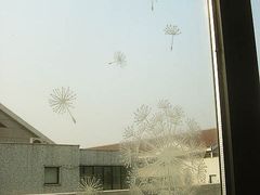 -新沙洞咖啡(泉乐坊店)