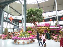 -南通洲际绿博园