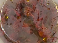 -扒虾小妹儿麻辣海鲜(宏图街店)