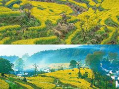 -婺源风景区