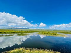 -花湖生态旅游区
