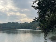 -深圳仙湖植物园