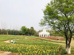 -杭州湾海上花田景区