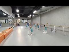 -舞蕾舞蹈(特长生校区)