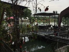 -水岸居湖景农家乐·阳澄湖大闸蟹
