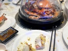 -半岛听涛蒸汽海鲜自助(K11店)
