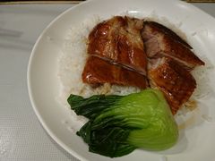 -深井陈记烧鹅酒家(新填地街店)