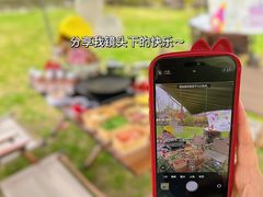-上海滨江森林公园