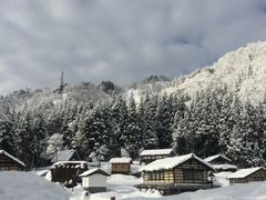 -白川乡与五箇山的合掌构造村落