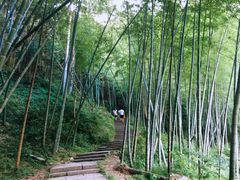 -楠溪江石桅岩