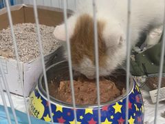 -达爱动物医院·犬猫分区·CT·复杂眼科(远洋山水分院)