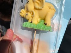 -秦皇岛野生动物园