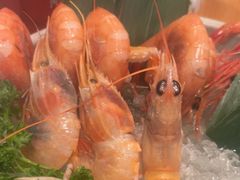 -菊上日式料理(蚌埠银泰店)