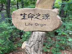 -燕窝岭