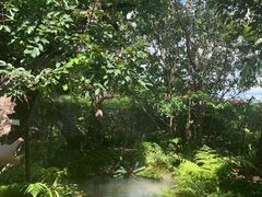 -Chom Cafe and Restaurant