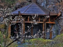 -上海吴淞炮台湾国家湿地公园