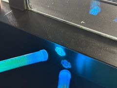 -梦之蓝青奥体育公园体育馆