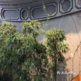 每道菜都每道菜的味道，值得推荐绝不踩坑