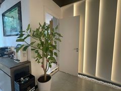 -齐玉齿科JADENTAL